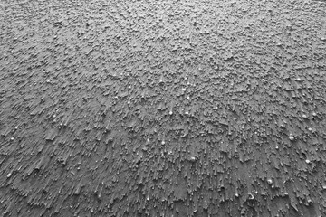 Beach abstract close up with scattered shells and pebbles in black and white