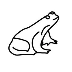 frog animal nature organic line hand drawn
