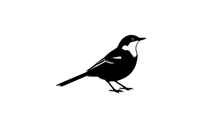 Obraz premium Elegant Black and White Bird Silhouette on a Clean Background.