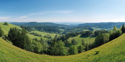 Fototapeta premium Landscape near Haslach in the Black Forest featuring lush greenery and rolling hills, suitable for background or editorial layouts