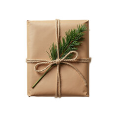 Eco-Friendly Gift Wrapped in Kraft Paper with Natural Raffia String and Evergreen Decoration