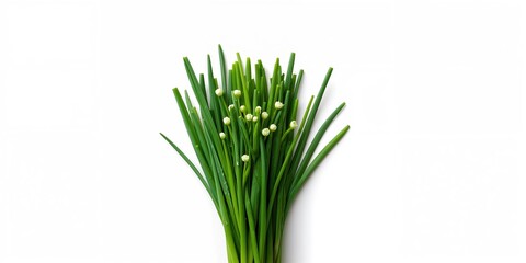 Obraz premium Fresh Chinese chives and garlic chives displayed clearly for culinary use, focus on herb identification