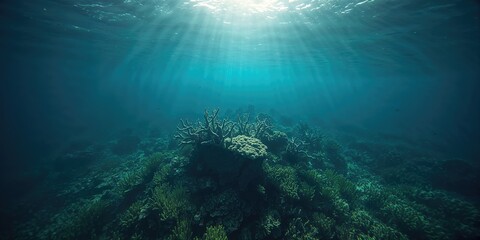 Fototapeta premium Dead coral in ocean, highlighting climate change impact on marine ecosystems, environmental awareness day