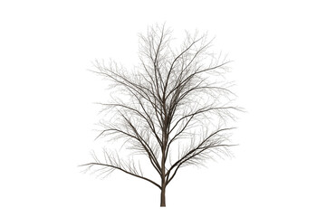 Obraz premium Black tree silhouette illustration