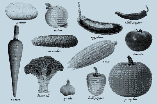 Vintage vector set of illustrations of vegetables on a blue background. Bitmap art.