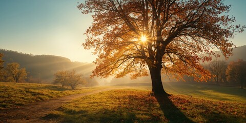 Naklejka premium Seasonal autumn scenery featuring vibrant leaves and fallen foliage, highlighting natural erosion processes