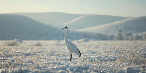 Fototapeta premium Snowy winter scene featuring a crane and bird in a natural environment, highlighting seasonal transition