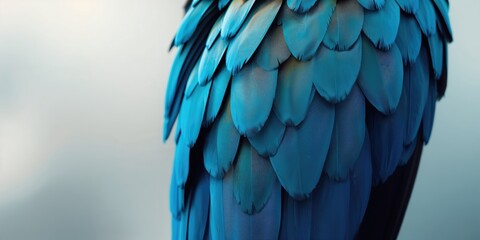 Brightly colored parrot feathers displayed in natural daylight, suitable for educational backgrounds, World Bird Day