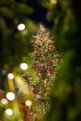 Illuminated and decorated Christmas tree outdoor in a town. Sparkling light and decoration on Christmas tree.