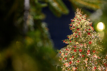 Illuminated and decorated Christmas tree outdoor in a town. Sparkling light and decoration on Christmas tree.