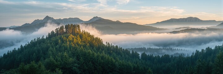Foggy mountain scene featuring forested slopes, highlighting erosion concerns and autumnal colors