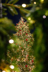 Illuminated and decorated Christmas tree outdoor in a town. Sparkling light and decoration on Christmas tree.