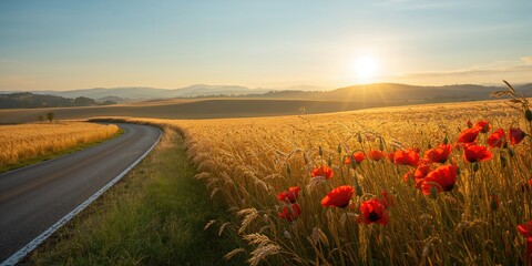 Landscape scene featuring red poppies along a winding road through grain fields, seasonal change and rural accessibility