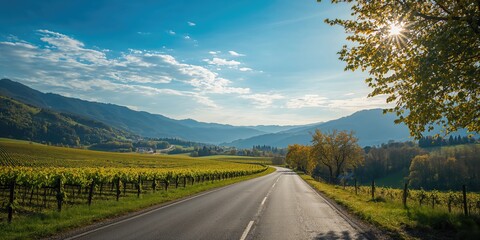 Fototapeta premium Empty road winding through the Mosel valley during early autumn, seasonal landscape change