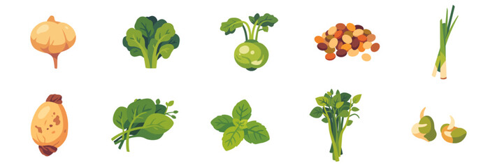 vegetables, big assorted set with jicama, kale, kohlrabi, lemongrass, lentil, lotus root, malabar spinach, mint, morning glory, mung bean sprouts