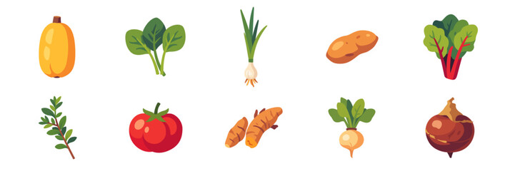 vegetables, big assorted set with spaghetti squash, spinach, spring onion, sweet potato, swiss chard, thyme, tomato, turmeric, turnip, water chestnut