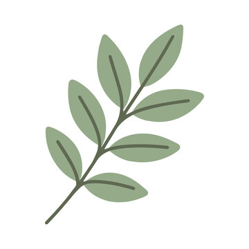 A branch with pairs of green leaves growing opposite each other. A simple botanical illustration perfect for floral patterns, nature themes, and eco designs.