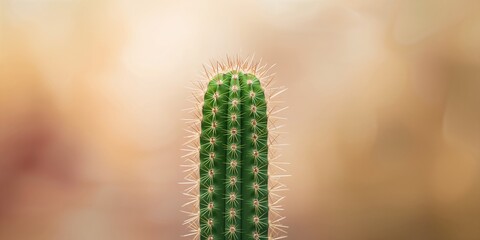 Close-up of a cactus highlighting its spines and textured surface for botanical study