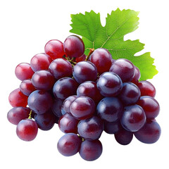 Fototapeta premium fresh bunch of ripe red and purple grapes isolated on transparent background .