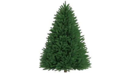 Lush Green Pine Tree Isolated on Transparent Background Nature Scene