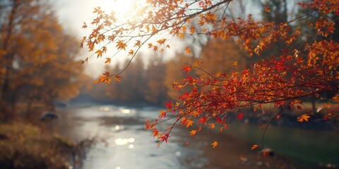 Colorful fall foliage on tree branches over a river under sunny weather, ideal for autumn-themed layouts