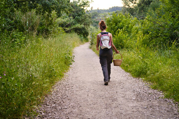 Fototapeta premium Woman walking on path carrying basket foraging in nature. unrecognizable person