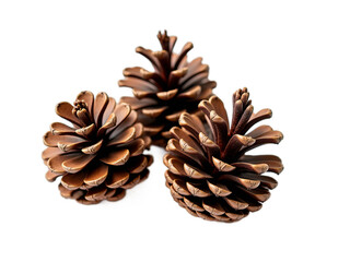 Natural Studio Photography - Triangular Composition of Pine Cones Collection Isolated HD