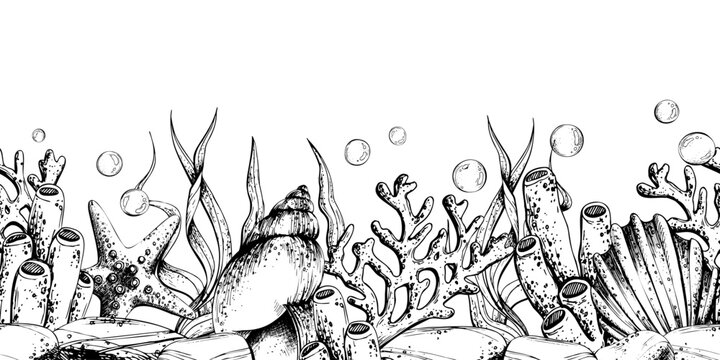 Hand drawn under sea illustration. Ocean bottom concept with sea plant, coral, shell, starfish, air bubble. Marine life for decor or design. Seamless border pattern outline graphic illustration