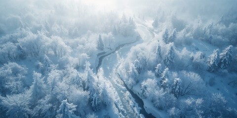Snow-covered terrain with a meandering river and icy trees from above, illustrating winter's natural features and preservation