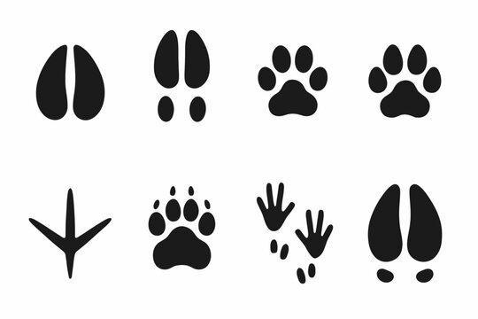 Winter Wildlife Footprints. Winter wildlife footprints. Filled icon set of winter wildlife footprints: deer