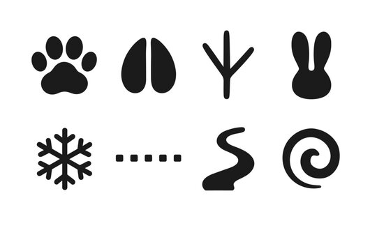 Icy Trail Icons. Icy trail impressions. Filled icon set of icy trail impressions: paw icon, hoof print, bird