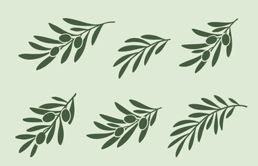 Olives branches set with green leaves and olives