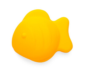 Plastic fish shaped mold isolated on white, top view. Children's beach toy