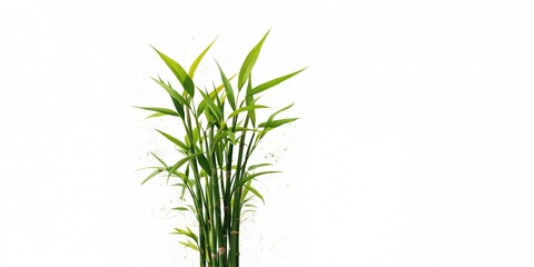 Bamboo shoots emerging from the ground, growth and renewal, Earth Day