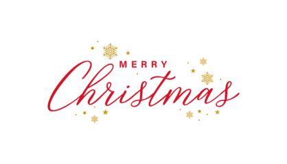 Text Christmas Blessings hand written calligraphy lettering. handmade vector illustration. Fun brush ink typography for photo overlays, t-shirt print, flyer, poster design