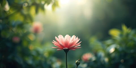 Close-up of a natural flower ideal for nature-themed backgrounds, highlighting floral textures and colors