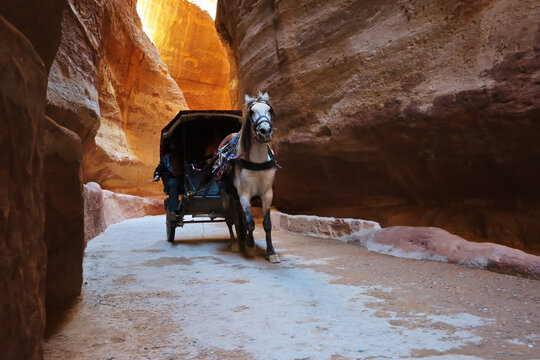 Horse carriage in a gorge, Siq canyon in Petra