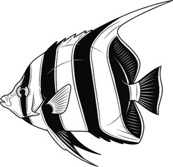 Tropical Fish Black White Vector