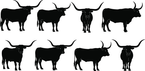 Collection of Texas Longhorn cattle silhouettes in various poses, featuring impressive long horns, black vector set for ranch, farm, and western concepts.