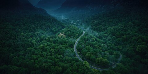 Aerial view of a woodland road surrounded by lush trees, natural preservation efforts, Earth Day