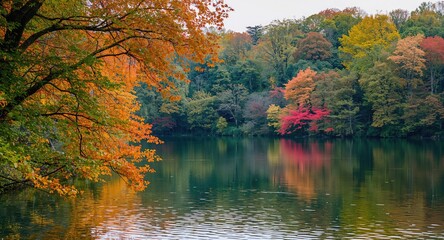 Fototapeta premium Autumn trees and leaves near a lake, seasonal change and natural erosion risk