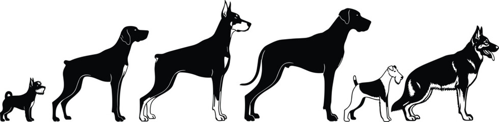 Black Silhouette Vector Set of Six Different Dog Breeds Side View, Illustrating Variety, Size, and Poses of Canines, Including Large, Medium, and Small Pets Illustration