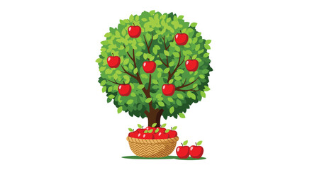 Lush green apple tree full of ripe red apples with a wicker basket overflowing with harvested fruit at its base in the summer.