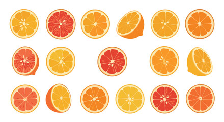 Set of colorful citrus fruit slices including orange lemon and grapefruit viewed from different angles on a plain white background.