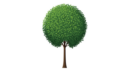 Simple and elegant illustration of a single deciduous tree with a perfectly round crown of lush green leaves and a brown trunk.