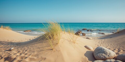 Seaside scene with rocks and plant life, ideal for landscape photography