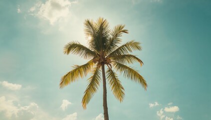 Tall coconut palm against bright blue sky, suitable for nature or landscape backdrops