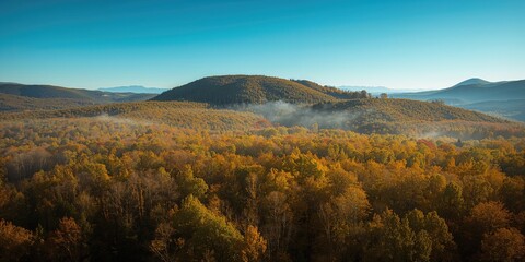 Bird's-eye view of dense forest slopes in Fruska Gora as fall colors emerge, illustrating seasonal transition and natural preservation