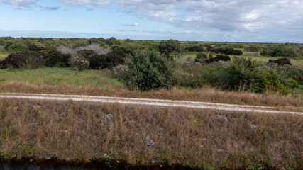 Fototapeta premium Parkland Florida
