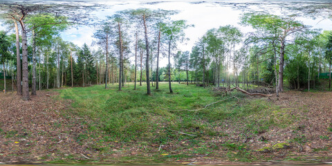 full seamless spherical hdr panorama 360 degrees angle view on fallen tree among bushes of forest or park with stairs in equirectangular projection, ready VR AR virtual reality content